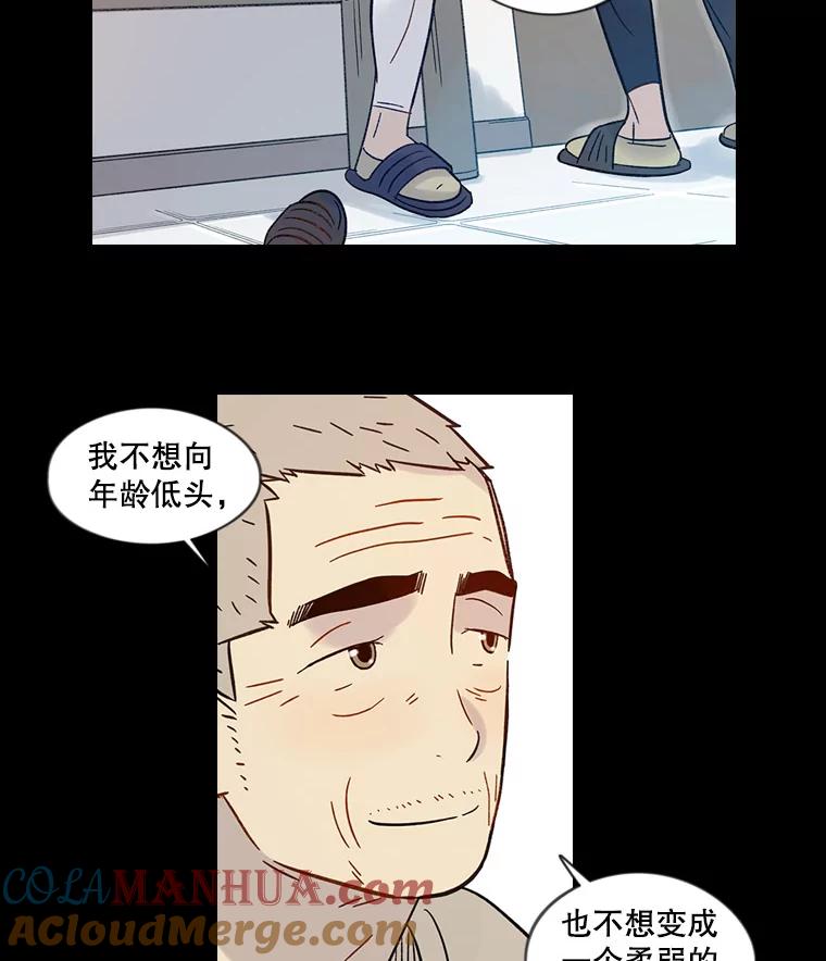 《像蝴蝶一样飞》45.摔倒 第58页