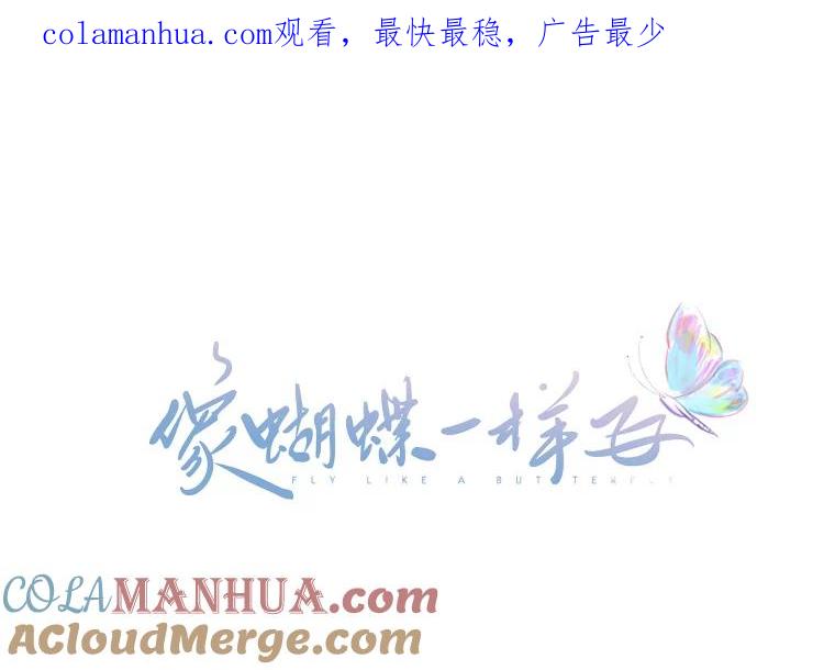 《像蝴蝶一样飞》46.短讯的力量 第1页