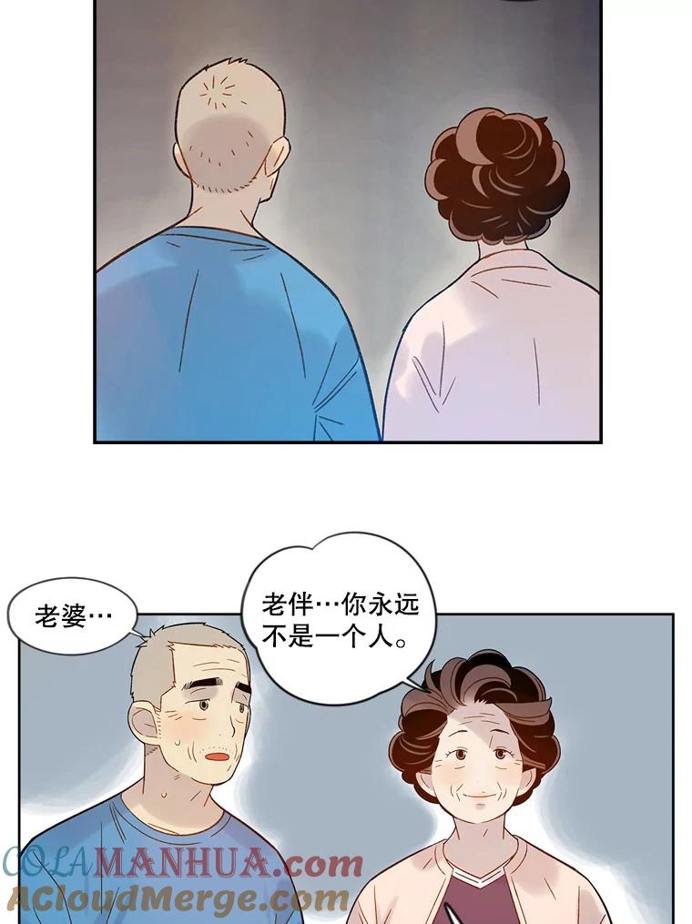 《像蝴蝶一样飞》47.再来一次 第55页