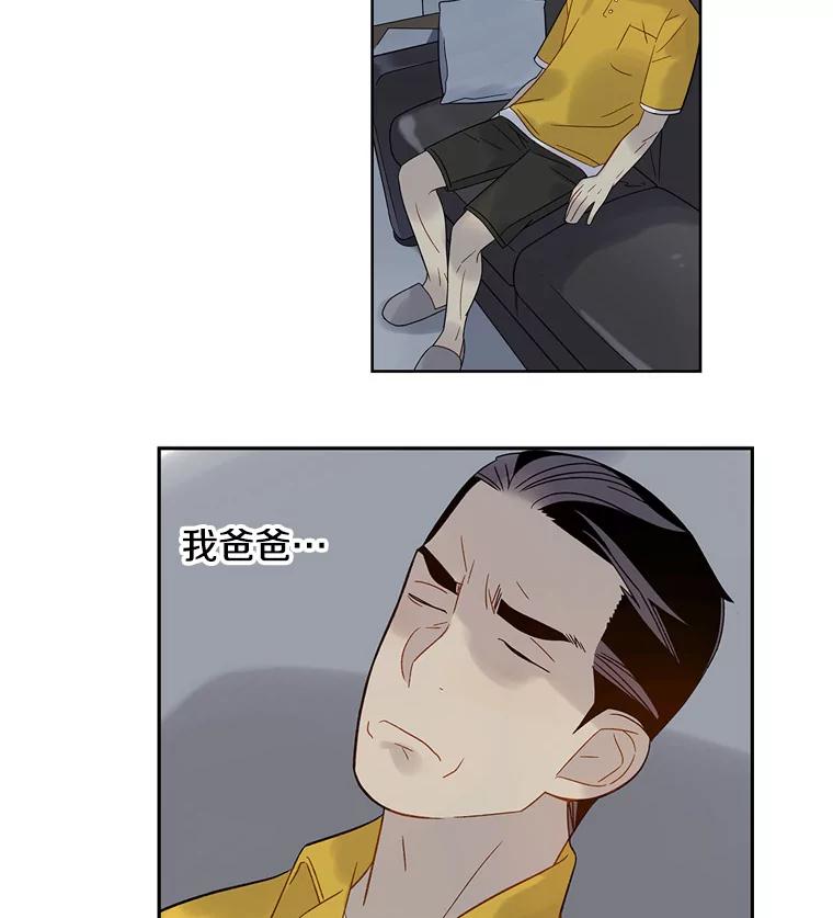 《像蝴蝶一样飞》48.修炼多年的武林高手 第38页