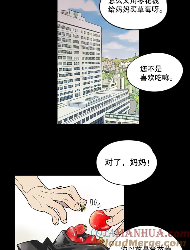 《像蝴蝶一样飞》4.青春不止遗憾 第46页