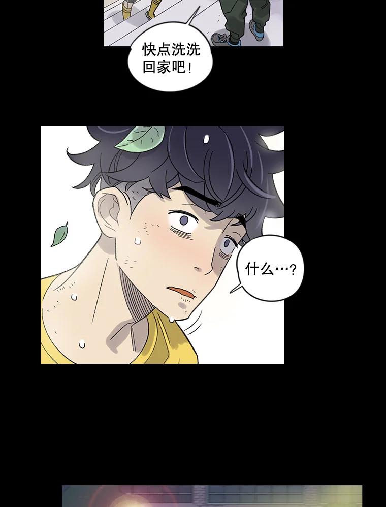 《像蝴蝶一样飞》4.青春不止遗憾 第35页