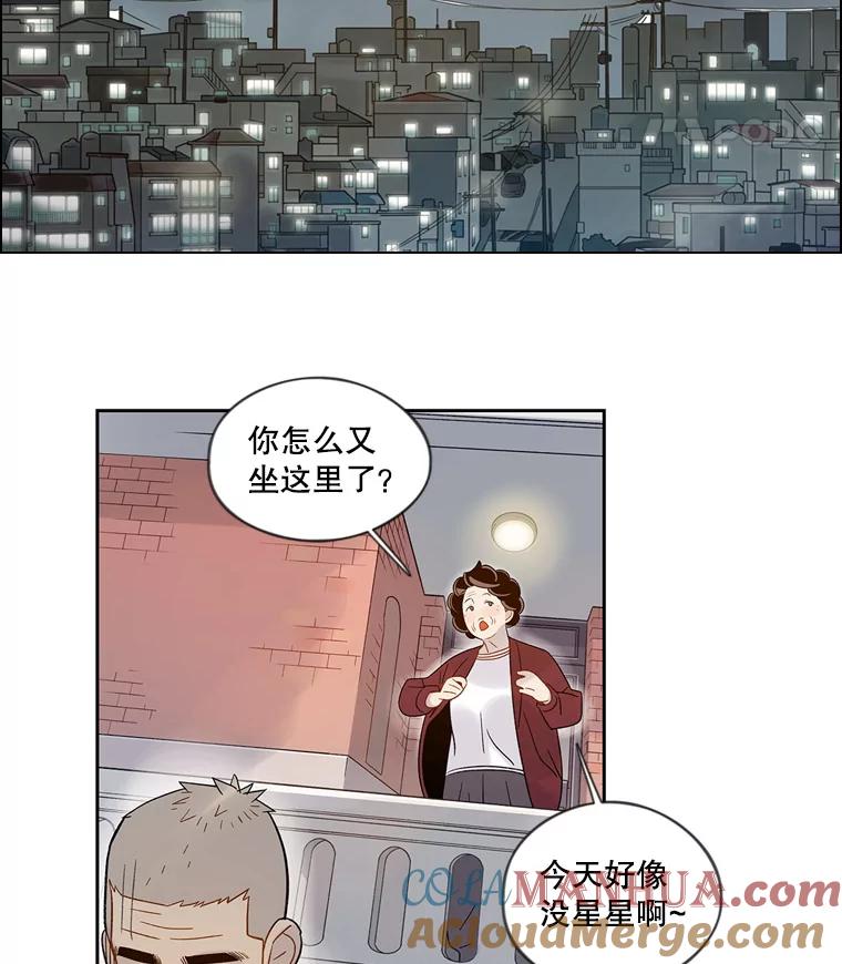 《像蝴蝶一样飞》49.过去和未来的对视 第37页