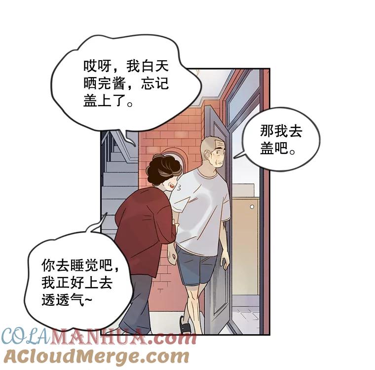 《像蝴蝶一样飞》49.过去和未来的对视 第43页