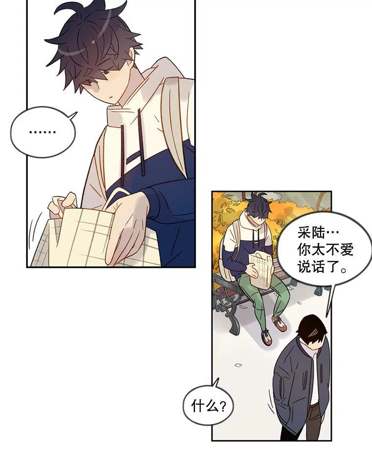 《像蝴蝶一样飞》53.为什么不说呢 第41页