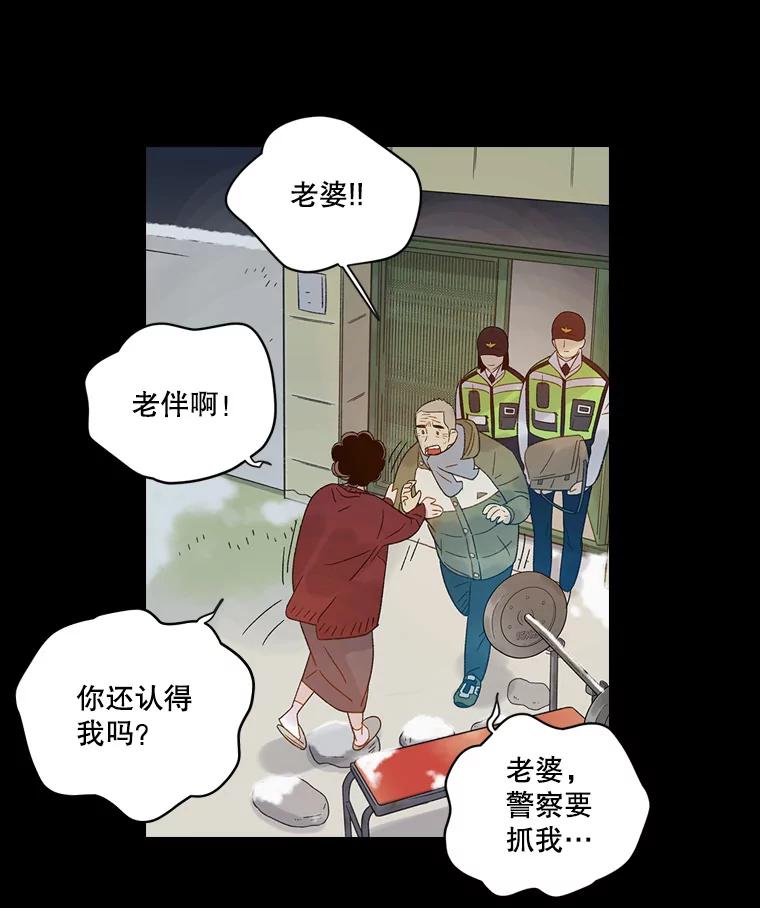《像蝴蝶一样飞》55.您还认识我吗？ 第14页