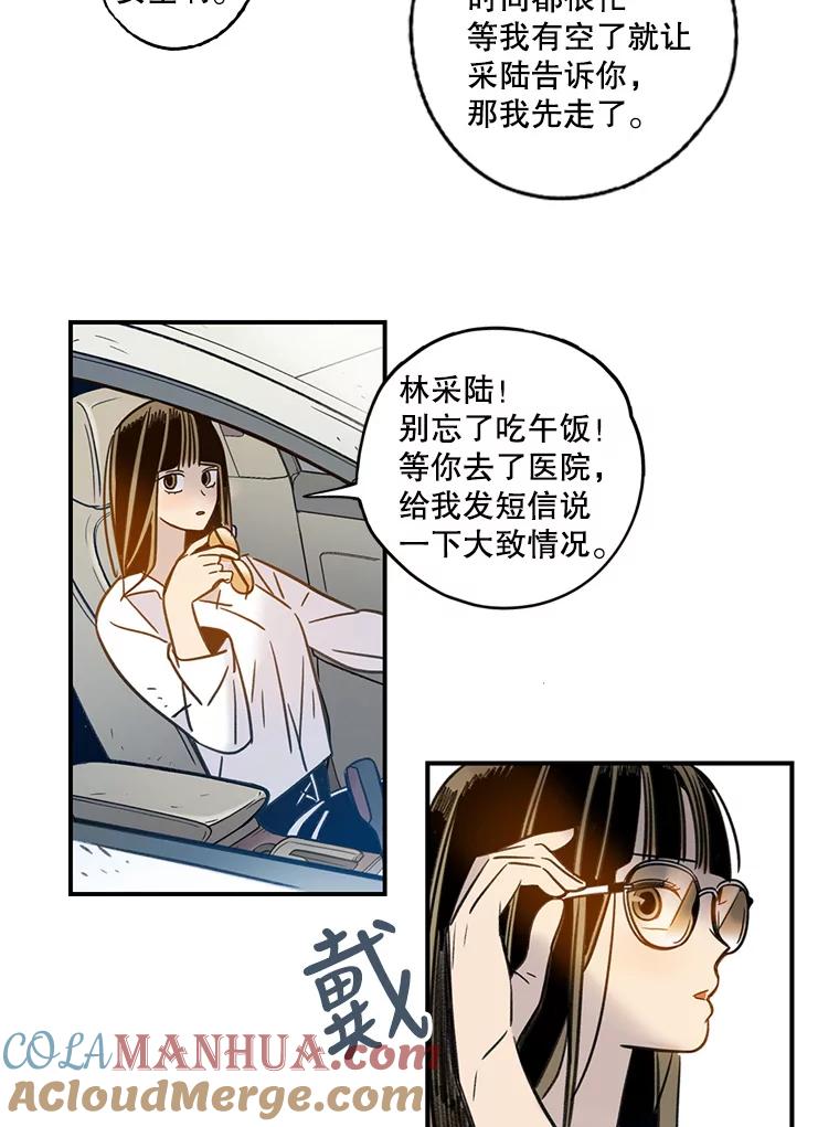《像蝴蝶一样飞》58.谢幕（1） 第28页