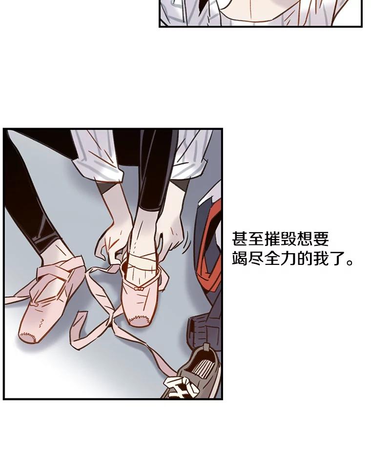 《像蝴蝶一样飞》58.谢幕（1） 第5页