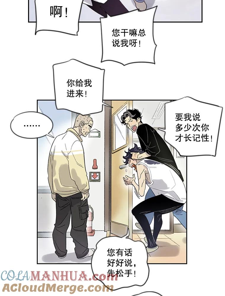 《像蝴蝶一样飞》5.天赋 第19页