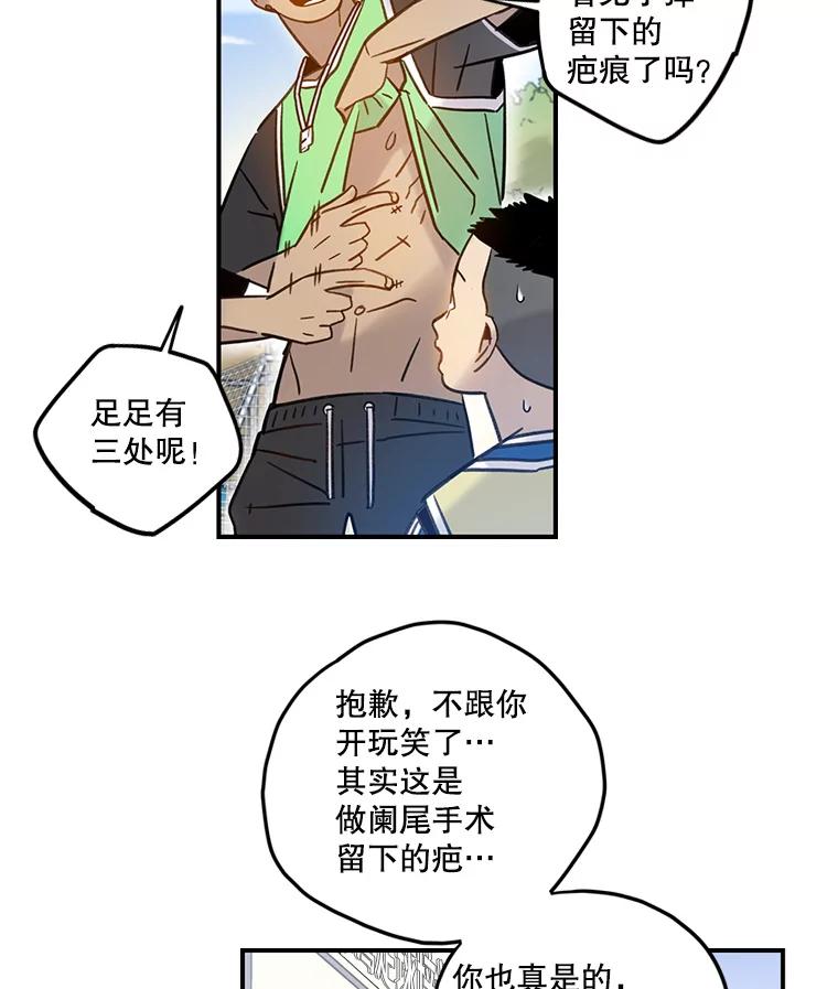 《像蝴蝶一样飞》59.谢幕（2） 第32页