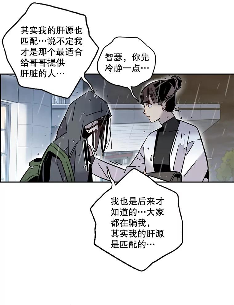 《像蝴蝶一样飞》59.谢幕（2） 第80页