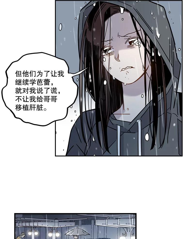 《像蝴蝶一样飞》59.谢幕（2） 第81页