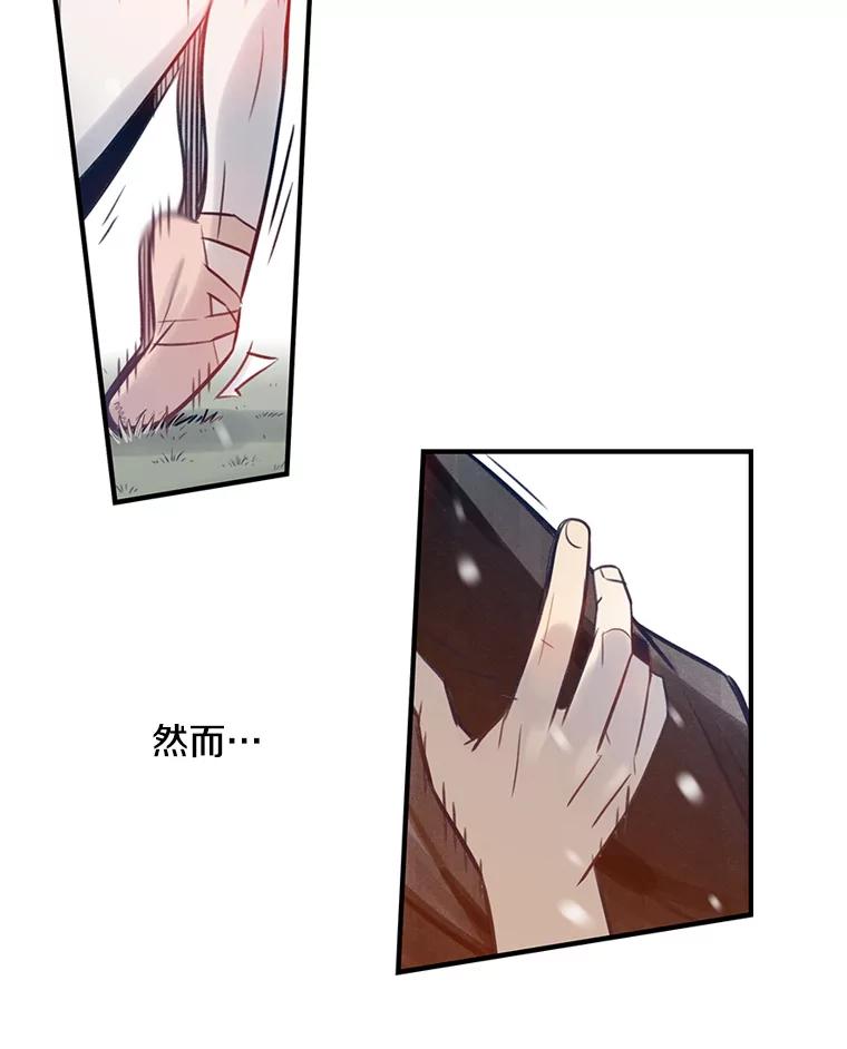 《像蝴蝶一样飞》67.谢幕（10） 第11页