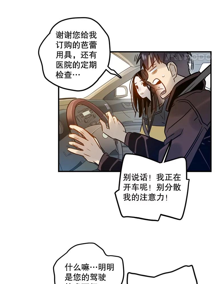 《像蝴蝶一样飞》68.谢幕（11） 第58页