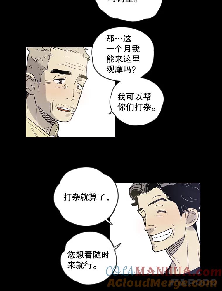 《像蝴蝶一样飞》6.必不可少的付出 第19页