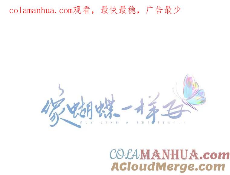 《像蝴蝶一样飞》7.一对一的训练 第1页