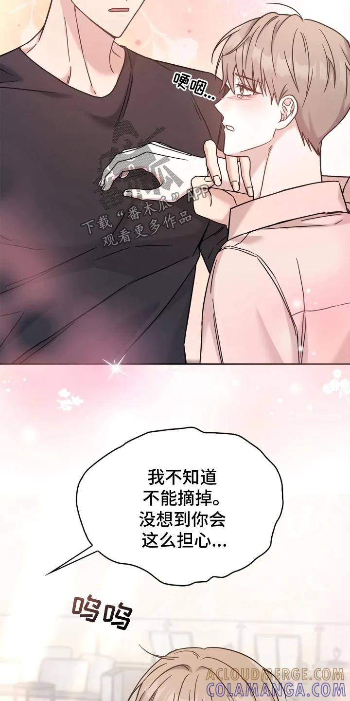 能力伪装者 第47章：别哭了 第13页
