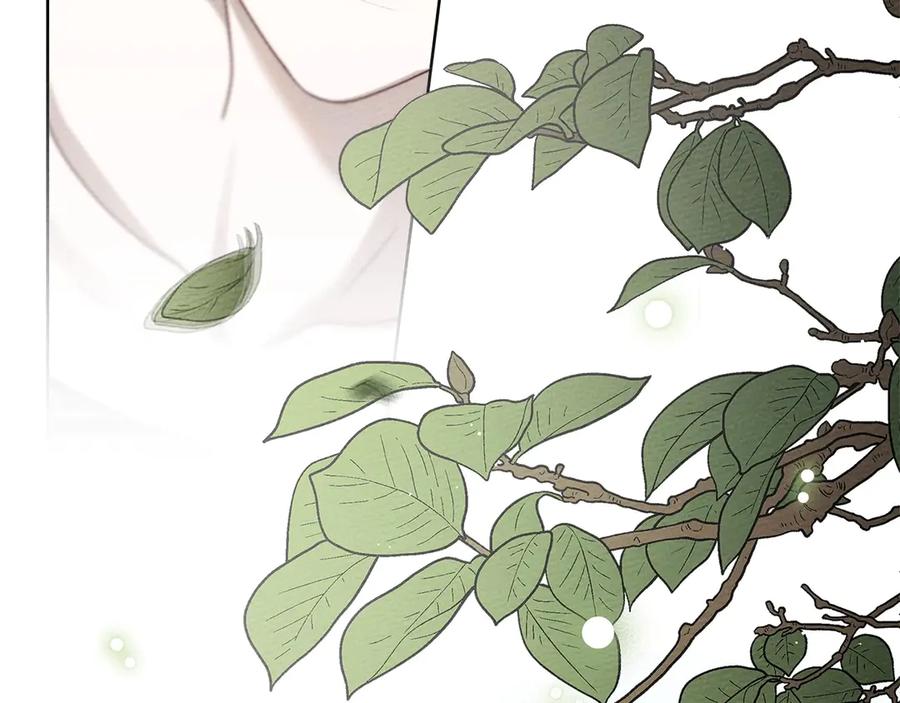 《橡树之下》第三季完结话 我的妻子在干什么？ 第227页