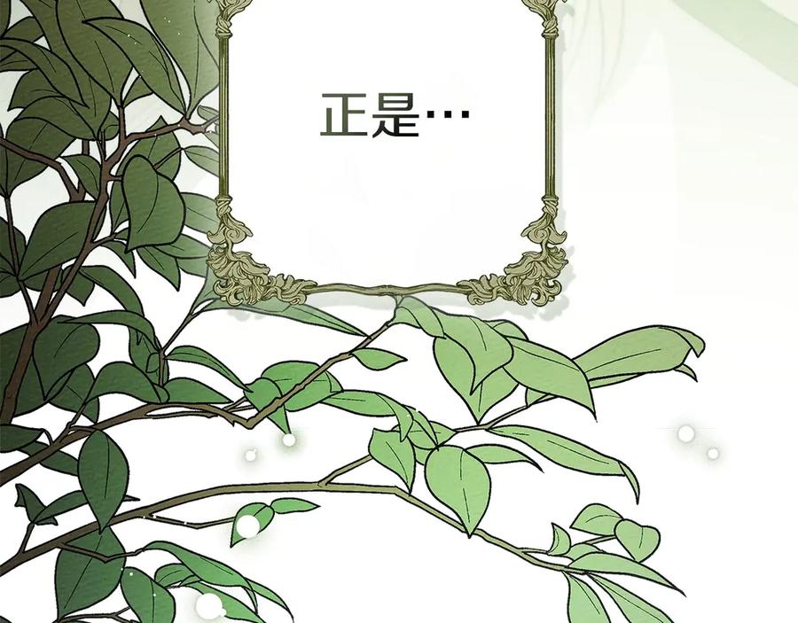 《橡树之下》第三季完结话 我的妻子在干什么？ 第232页