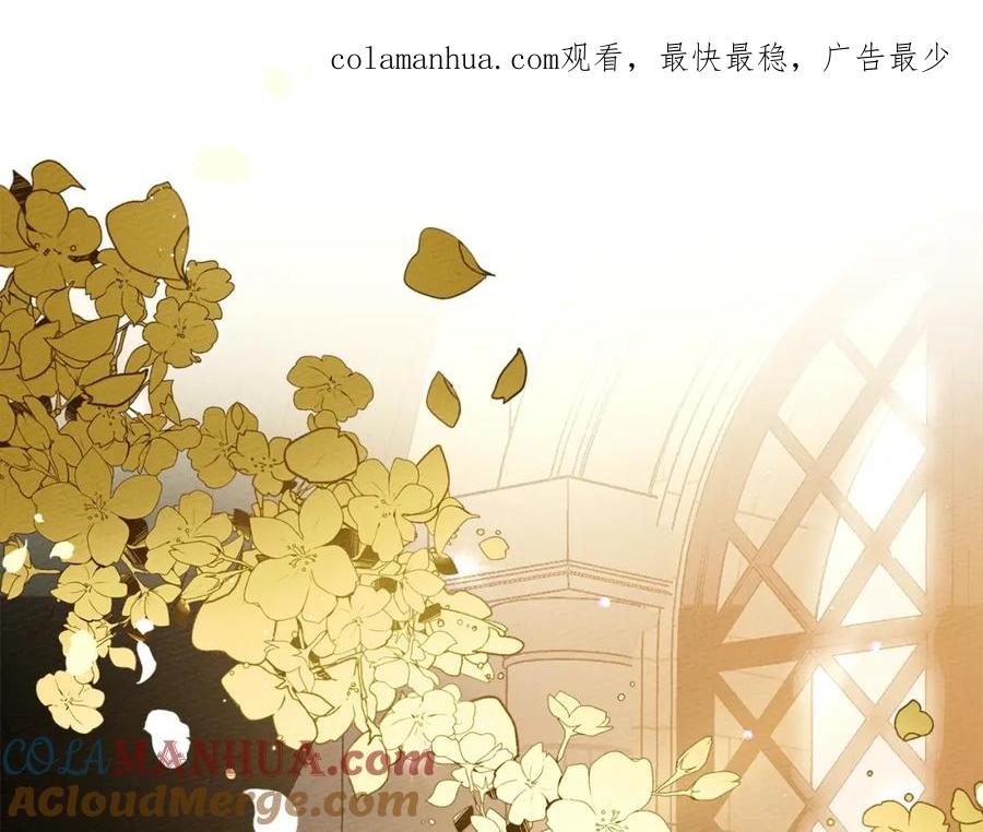《橡树之下》序章 你是我用命换来的宝物 第1页