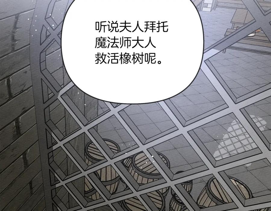 《橡树之下》第19话 坚定退单 第6页