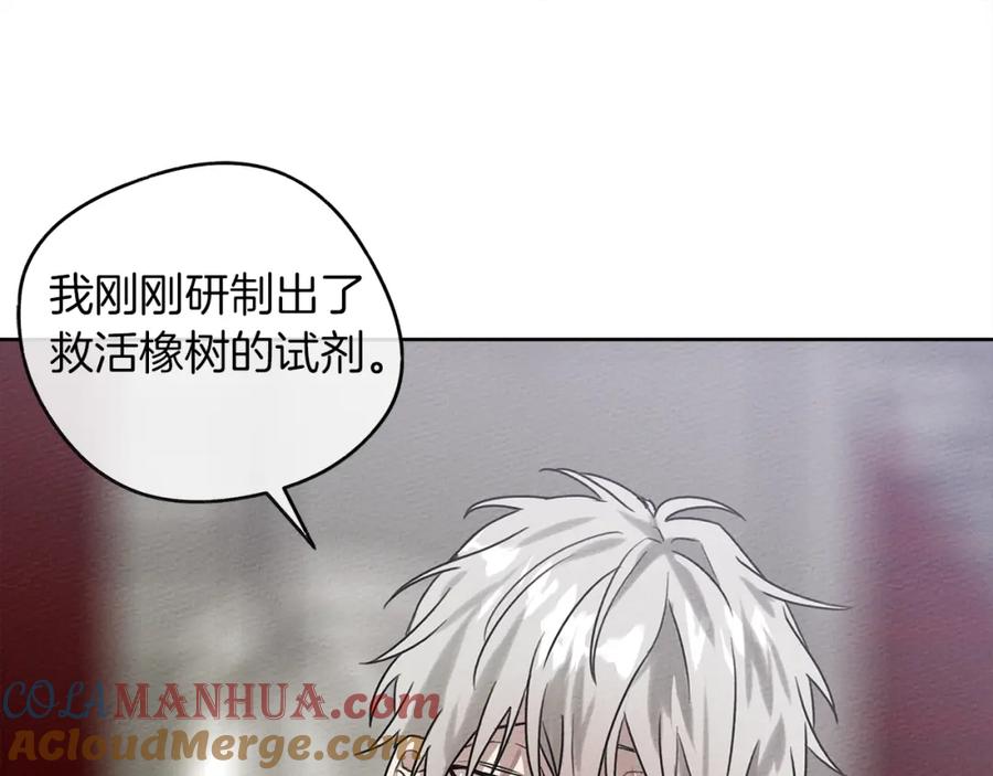 《橡树之下》第22话 橡树之药 第157页
