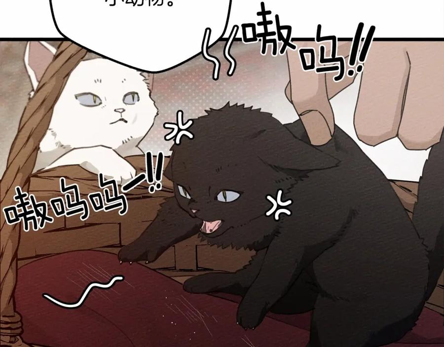 《橡树之下》第46话 捡小猫猫 第166页