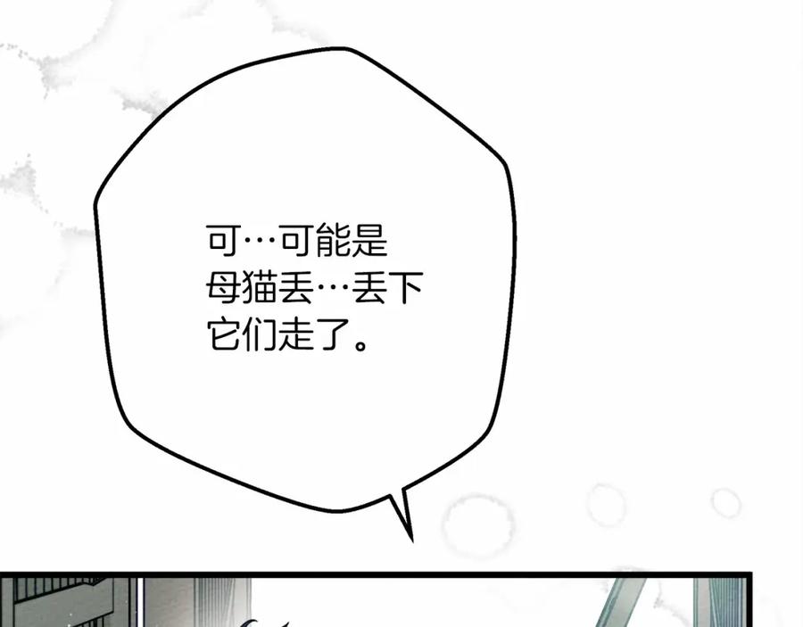 《橡树之下》第46话 捡小猫猫 第76页
