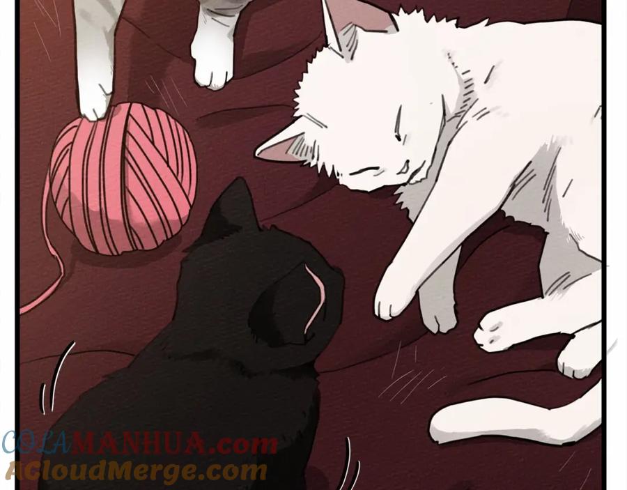《橡树之下》第46话 捡小猫猫 第173页