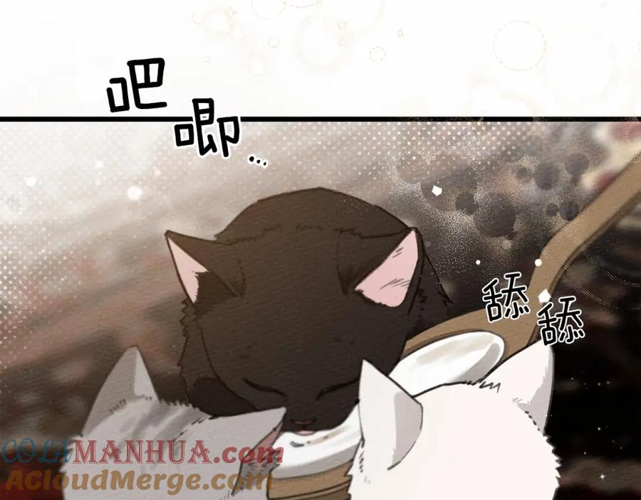 《橡树之下》第46话 捡小猫猫 第149页