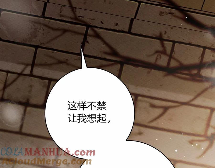 《橡树之下》第49话 麦茜主动 第221页