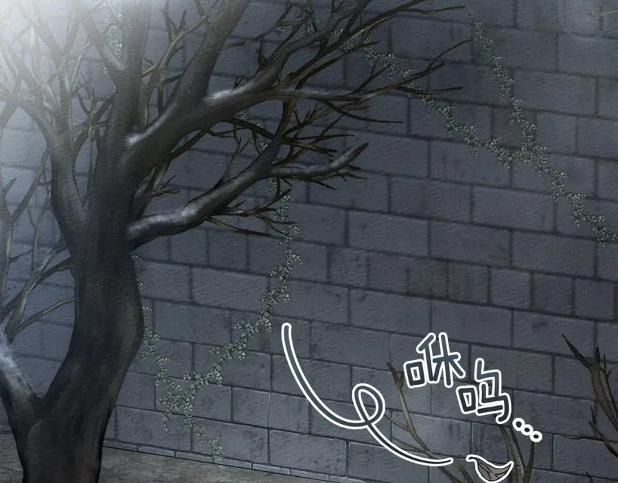 《橡树之下》第54话 躲在墙角 第166页