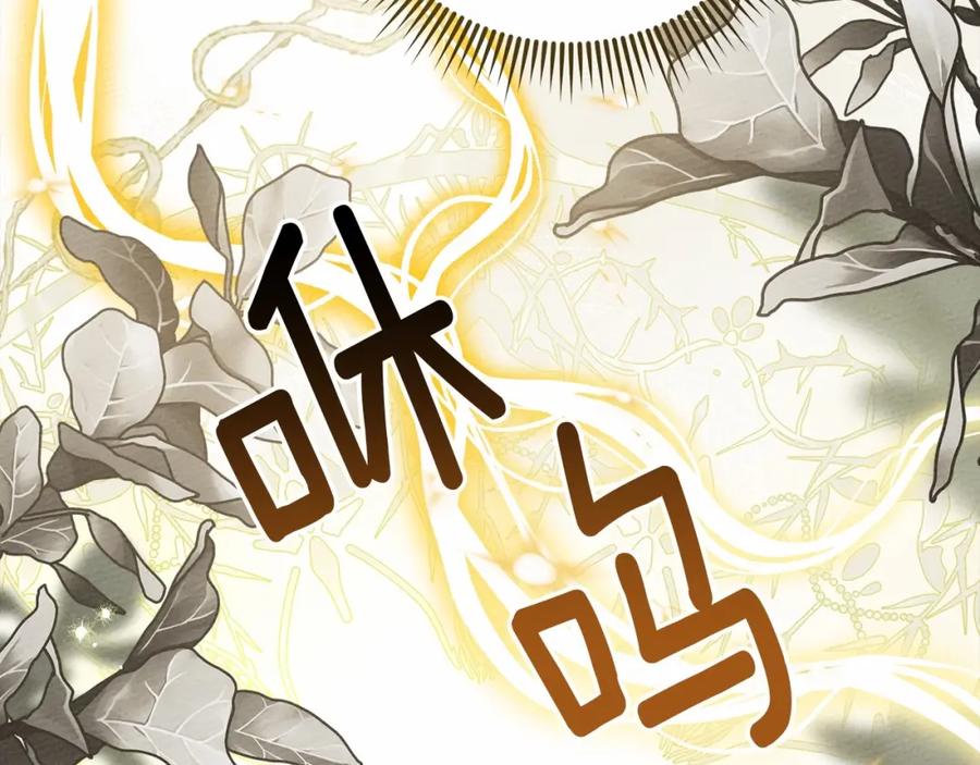《橡树之下》第61话 惊艳众人 第171页