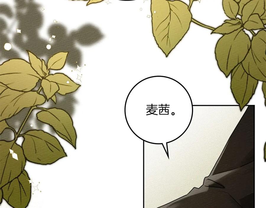 《橡树之下》第3季 启 利普坦从来不跟我说这些事 第11页