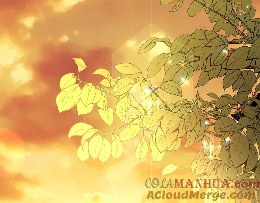 《橡树之下》第7话 麦茜，这是我的领地 第209页