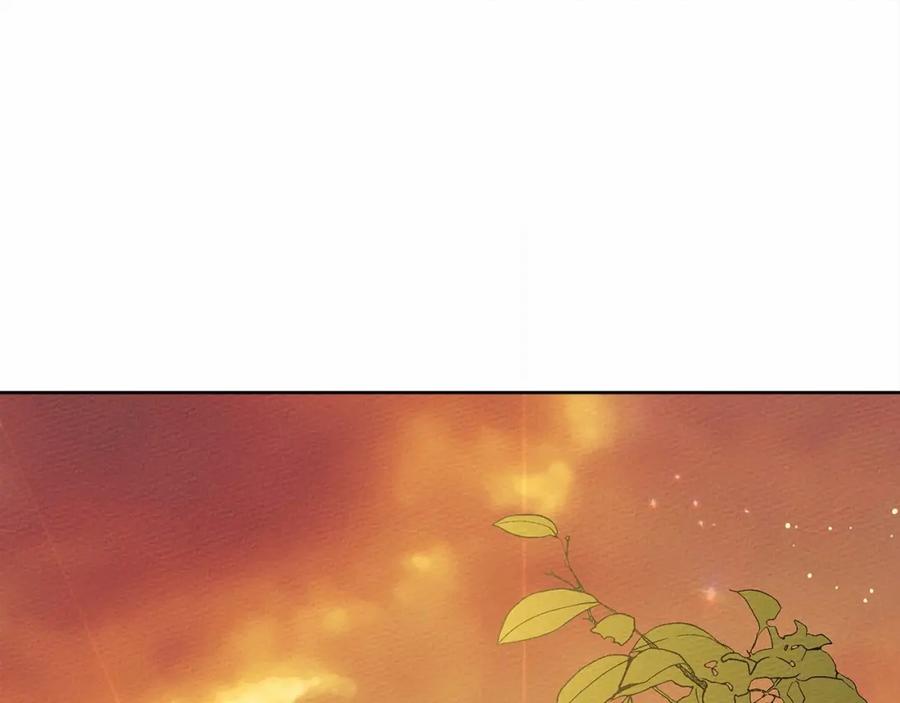 《橡树之下》第7话 麦茜，这是我的领地 第208页