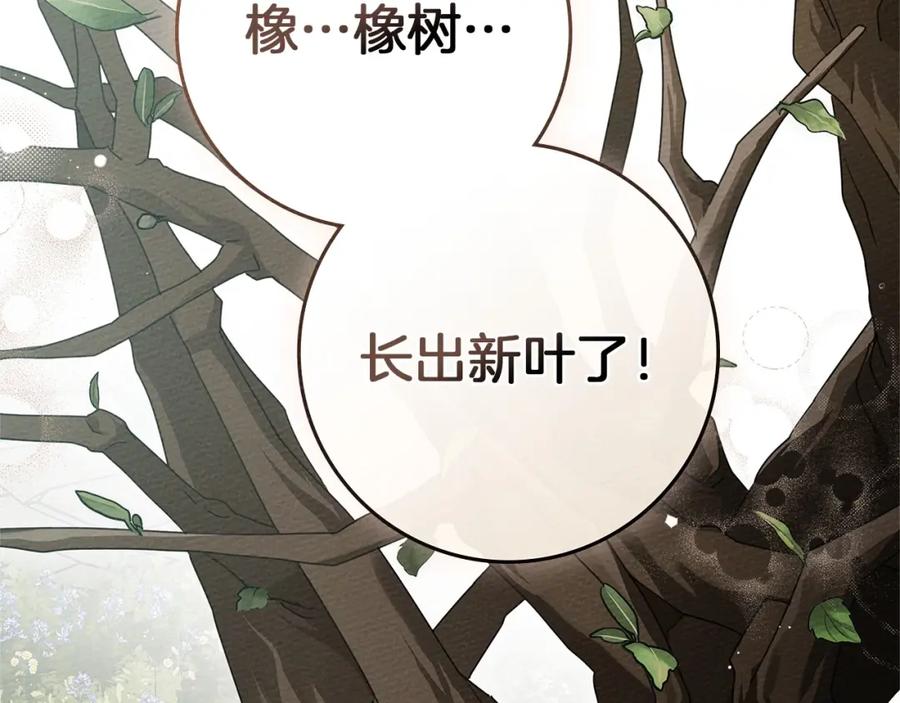 《橡树之下》第78话 我要让你成为最尊贵的淑女 第83页
