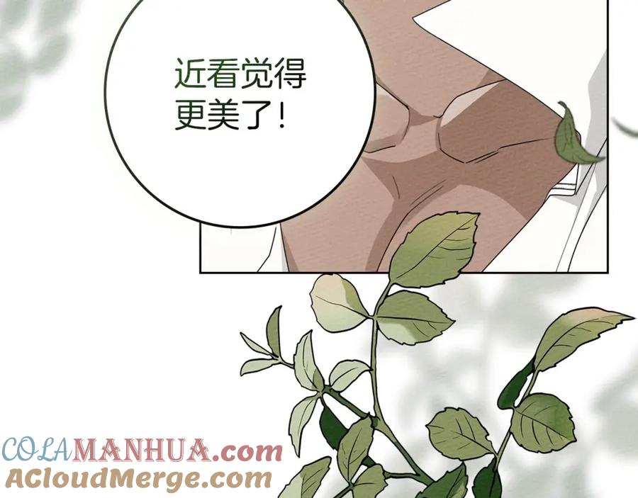 《橡树之下》第78话 我要让你成为最尊贵的淑女 第109页