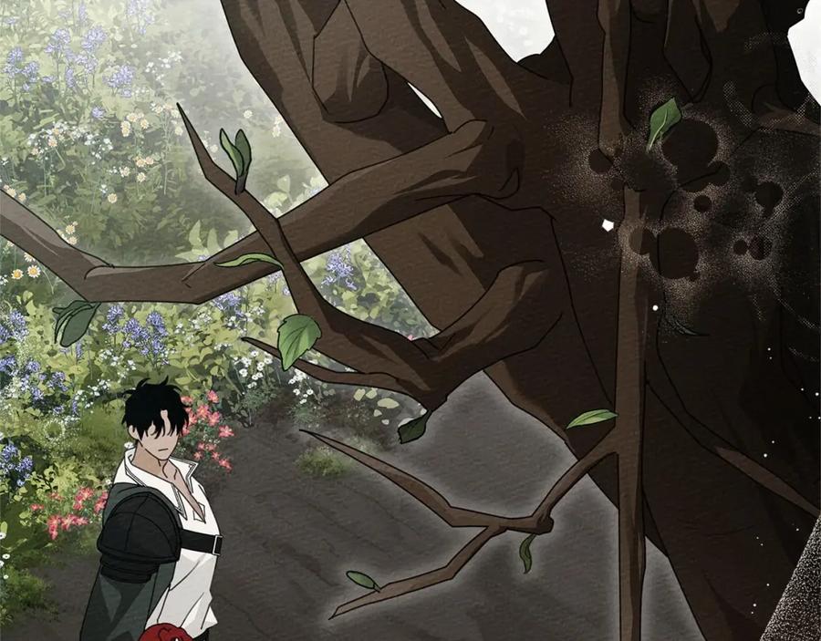 《橡树之下》第78话 我要让你成为最尊贵的淑女 第84页