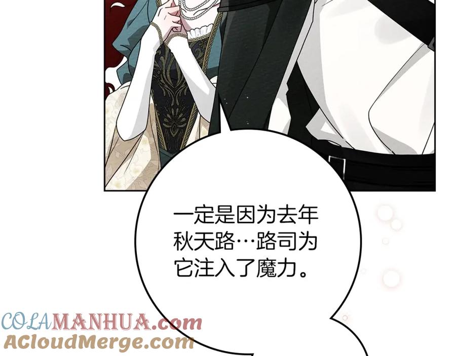 《橡树之下》第78话 我要让你成为最尊贵的淑女 第89页