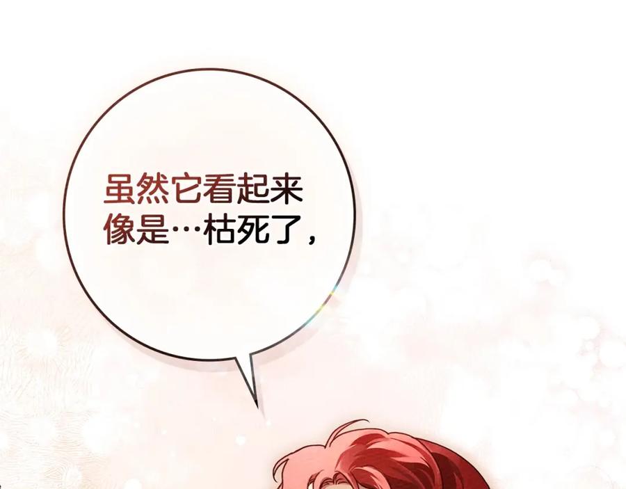 《橡树之下》第78话 我要让你成为最尊贵的淑女 第91页