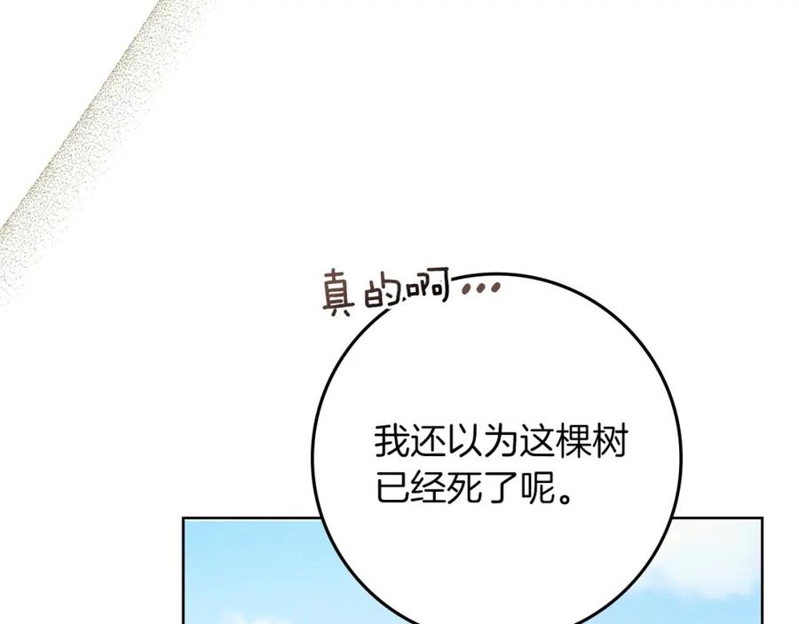 《橡树之下》第78话 我要让你成为最尊贵的淑女 第87页