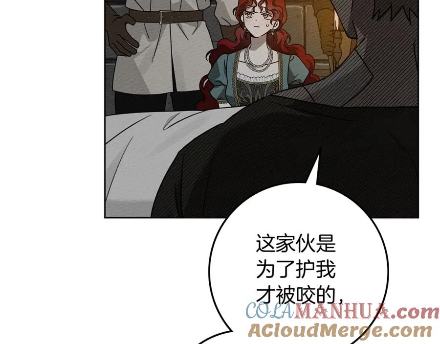 《橡树之下》第79话 我再…试一次 第157页