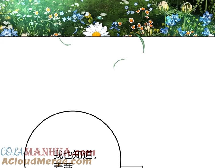 《橡树之下》第79话 我再…试一次 第13页