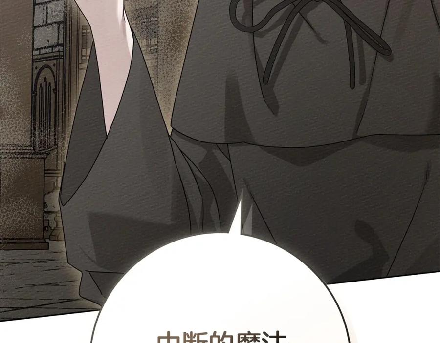 《橡树之下》第80话 骑士精神 第186页