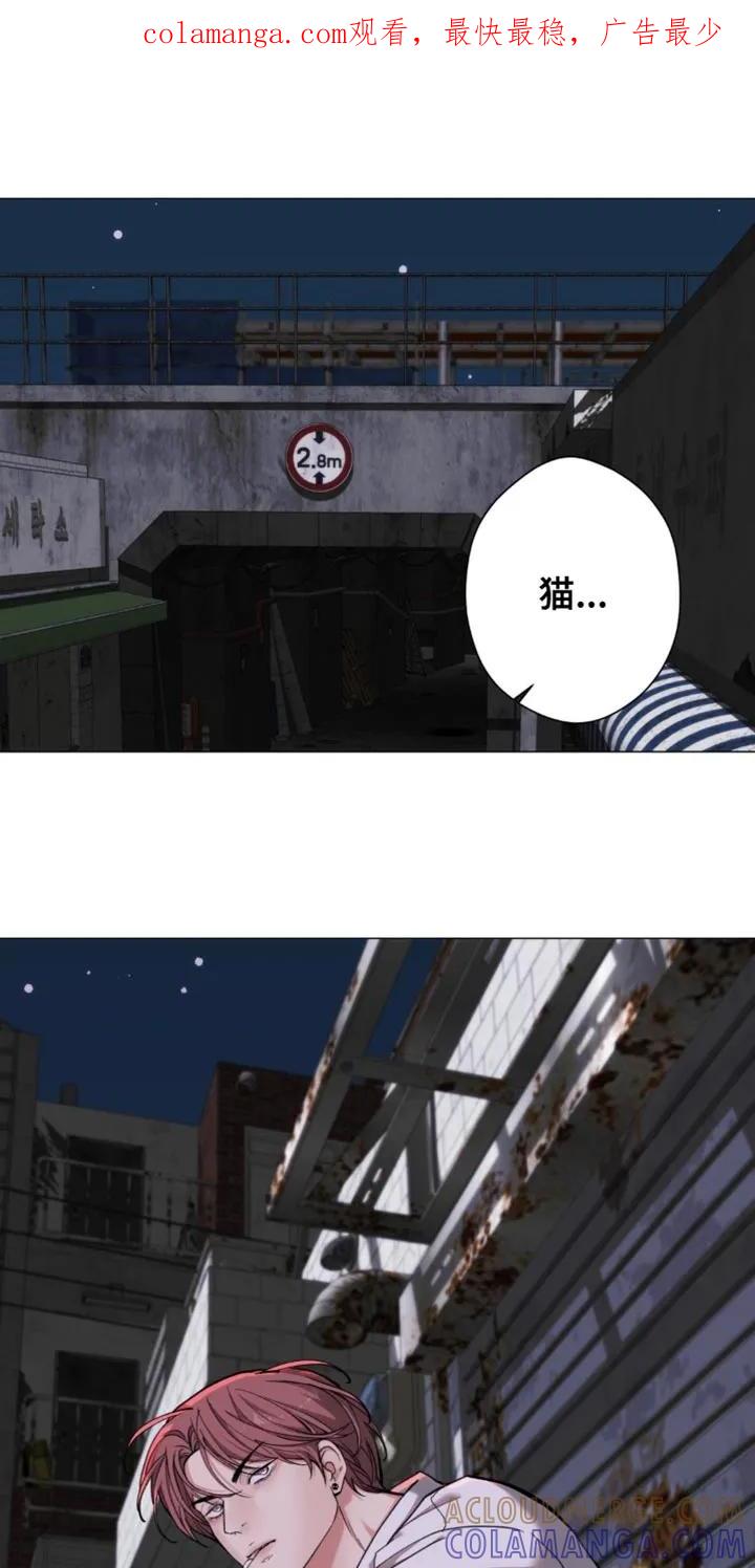 《海岛人生》第84章：【第二季】气场真强 第1页