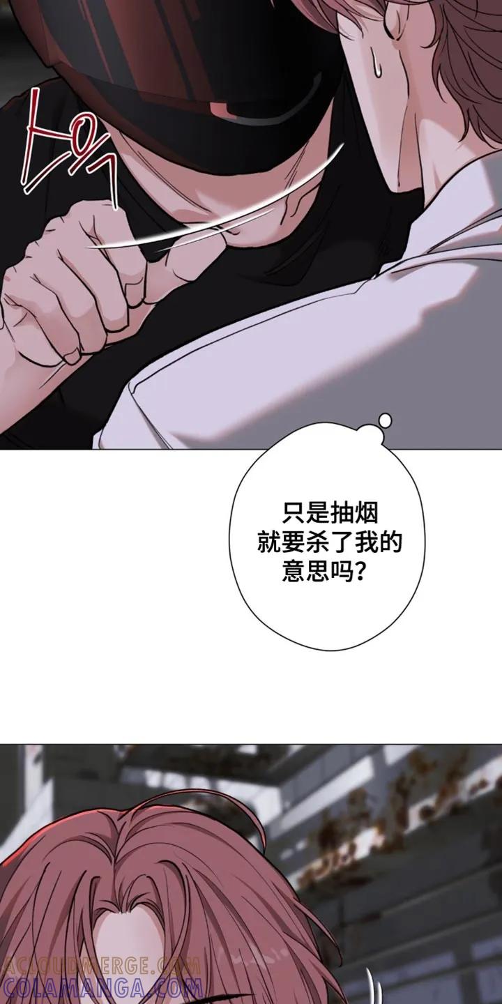 《海岛人生》第84章：【第二季】气场真强 第15页