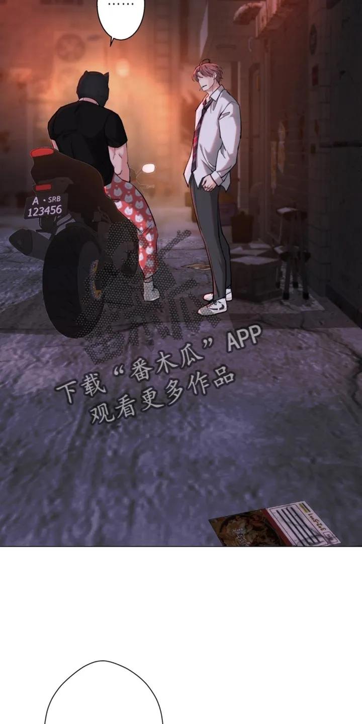《海岛人生》第84章：【第二季】气场真强 第10页