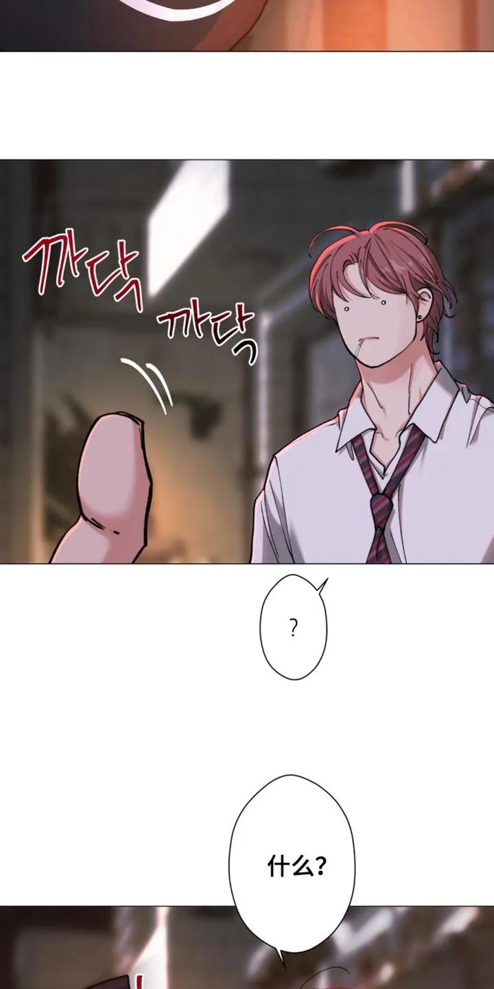 《海岛人生》第84章：【第二季】气场真强 第12页