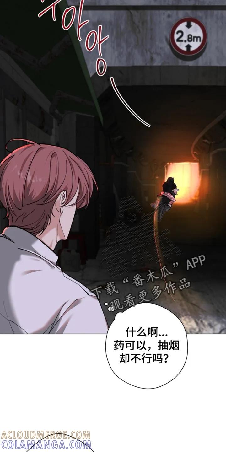 《海岛人生》第84章：【第二季】气场真强 第17页